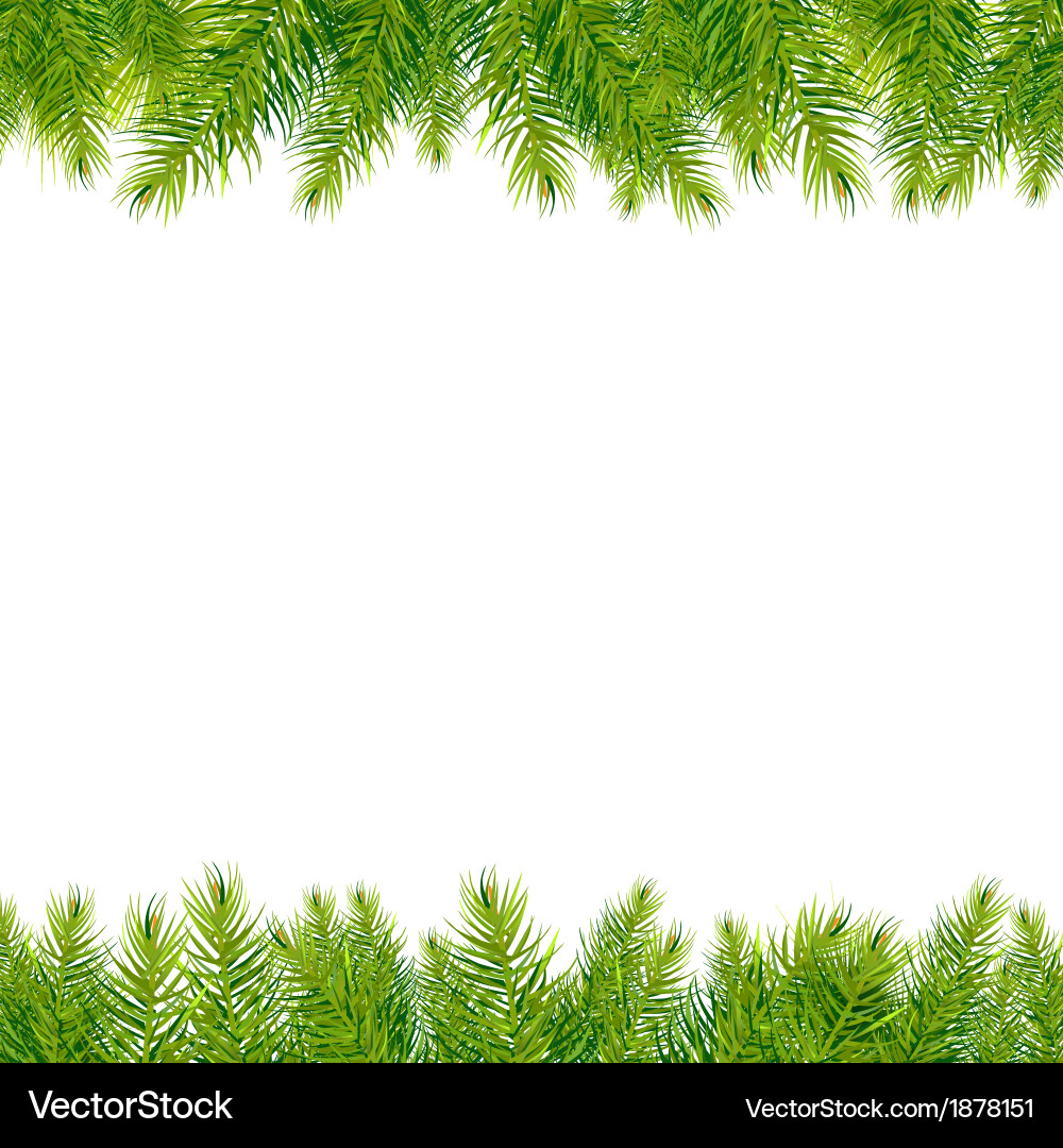 Christmas Tree Branches Border Vector Image