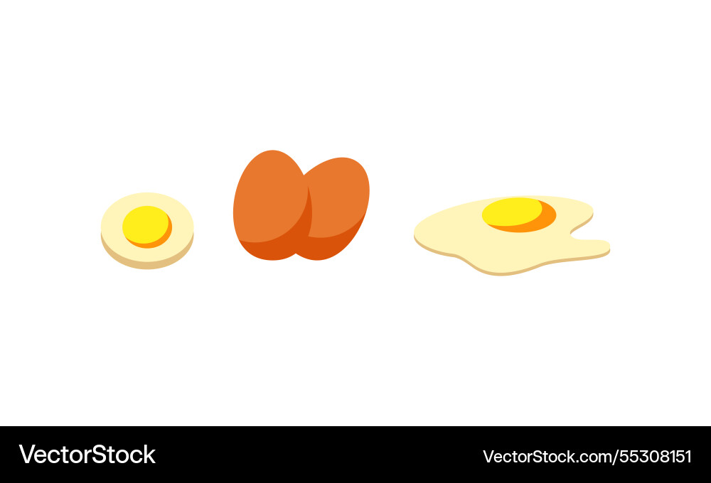 Egg sets in various forms raw boiled and fried Egg sets in various forms raw boiled and fried vector image