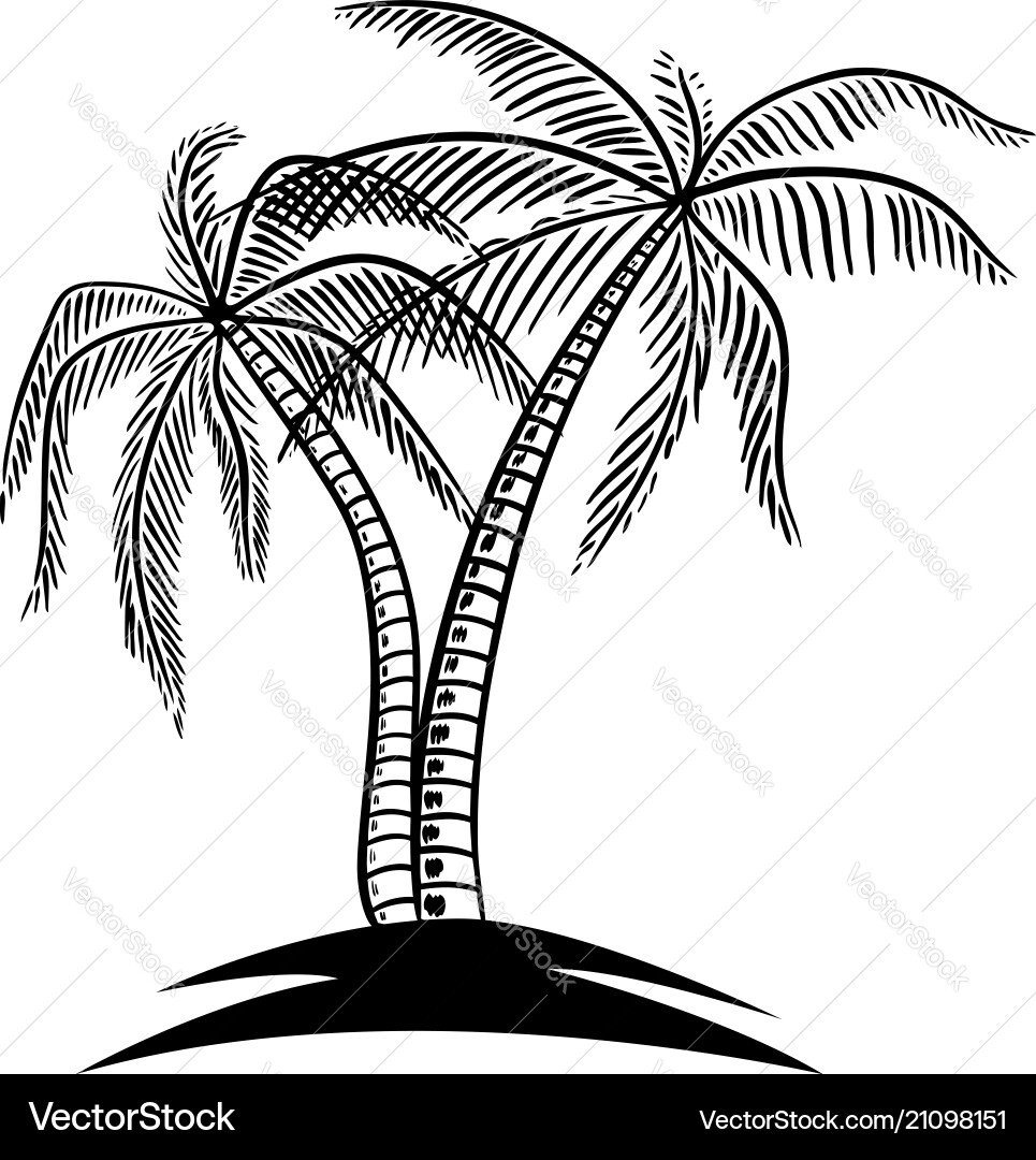 Set hand drawn palm tree design element Set hand drawn palm tree design element vector image