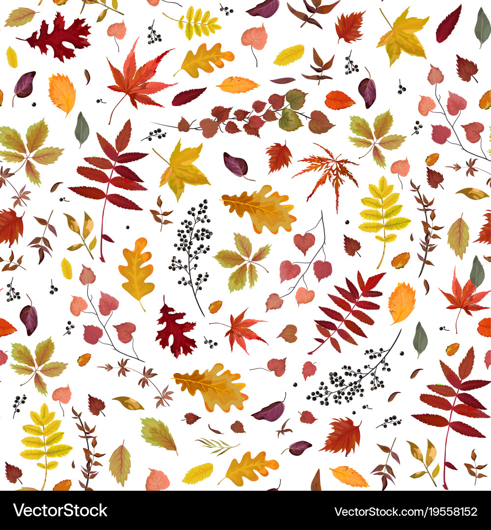 Seamless autumn pattern with leaves Royalty Free Vector