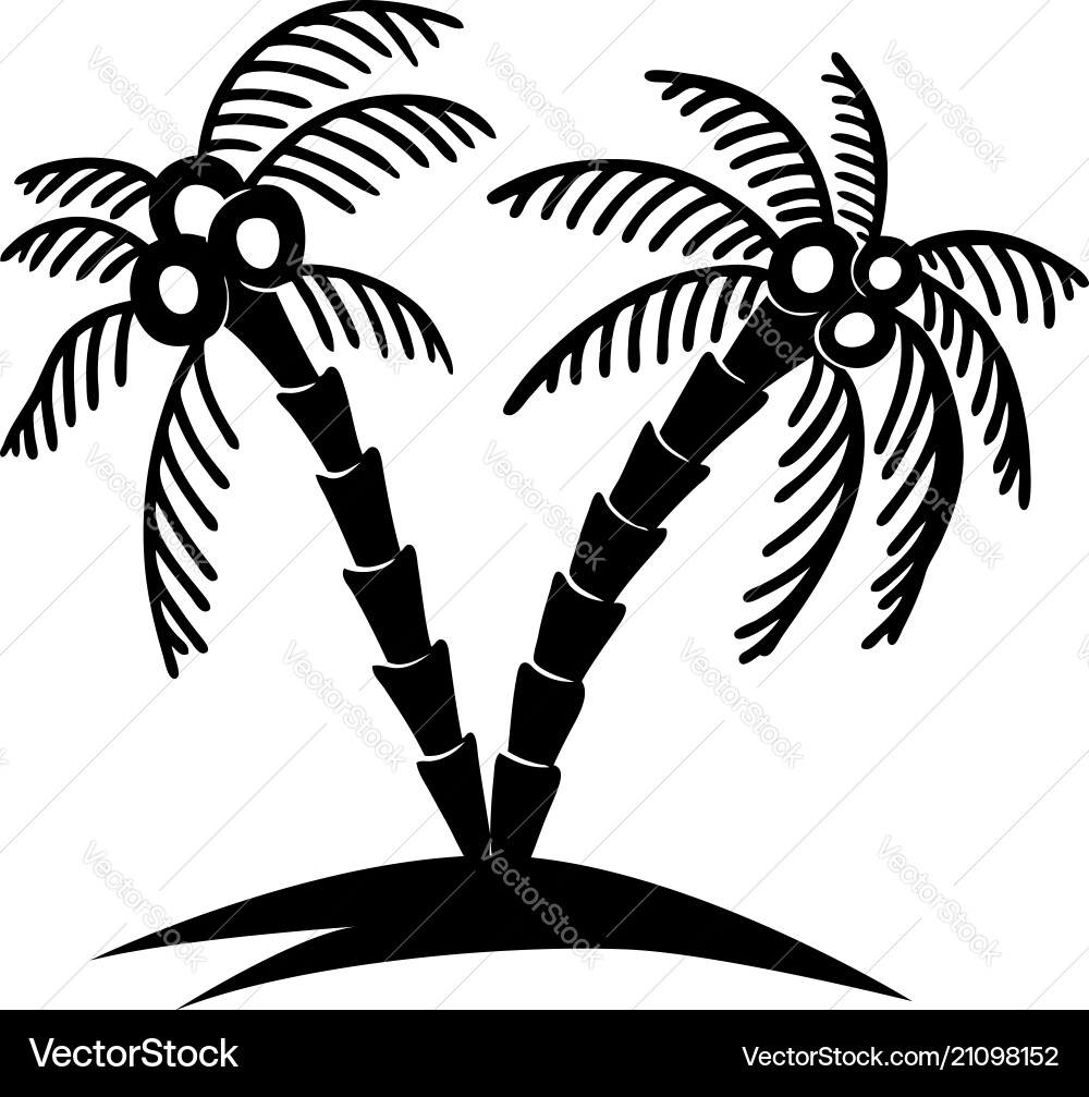 Set hand drawn palm tree design element Set hand drawn palm tree design element vector image