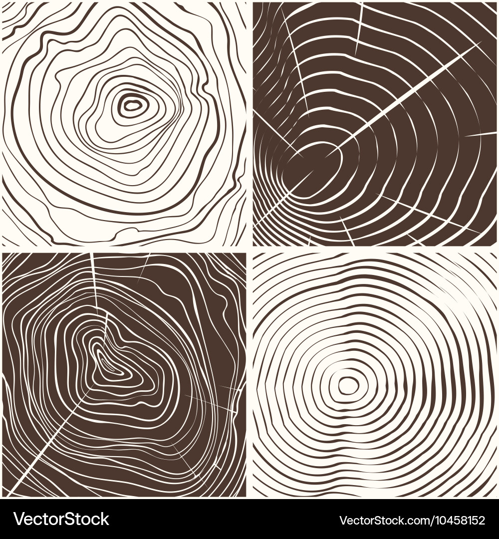 Tree Ring Texture Background vector image