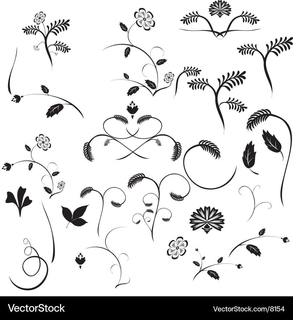 Floral Motifs vector image