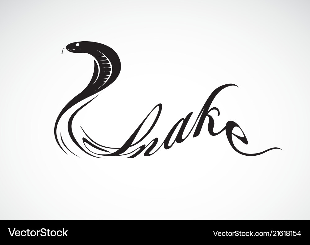 Snake is text on white background wild animals Vector Image