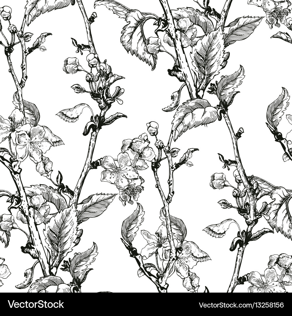 Apple tree sketch design Vector Image