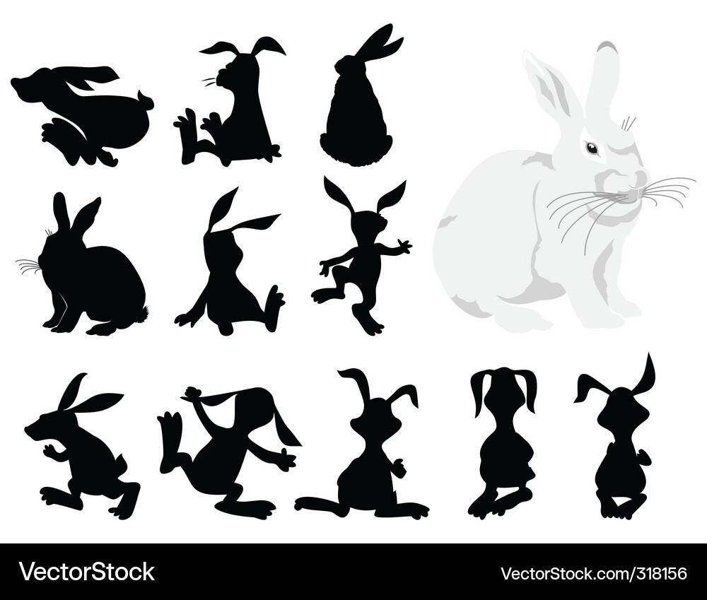 Cute Rabbit Silhouette Vector Image