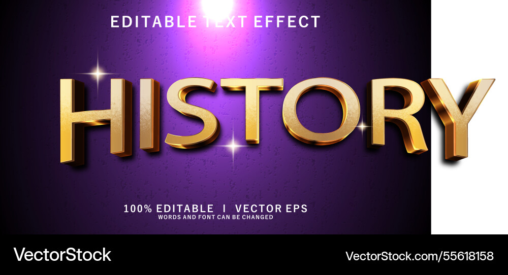 History 3d text effect with modern style design History 3d text effect with modern style design vector image
