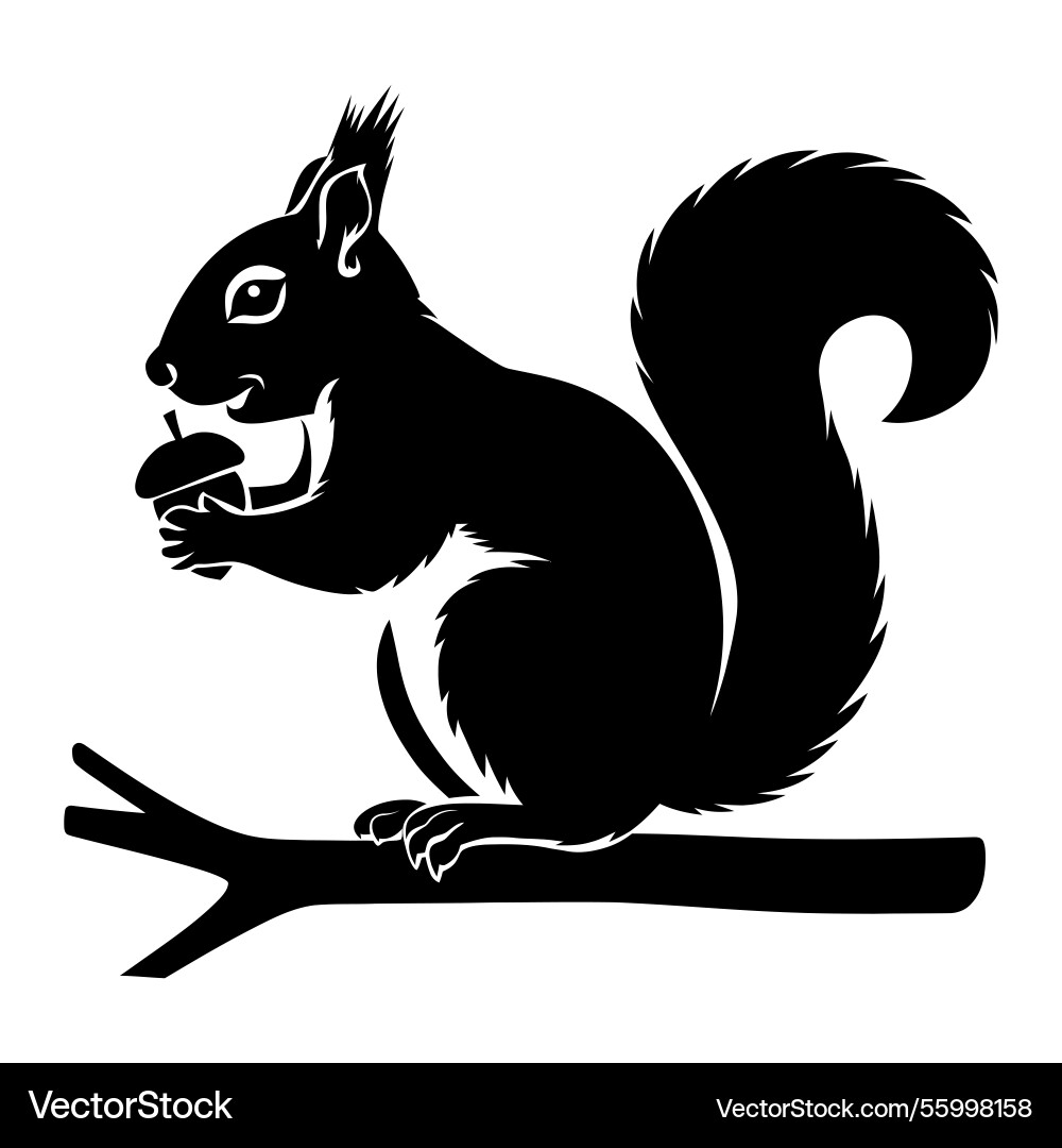 Squirrel holding an acorn silhouette Royalty Free Vector