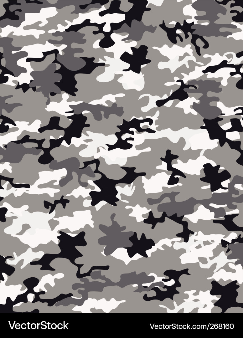 Modern Camo Pattern Vector Image