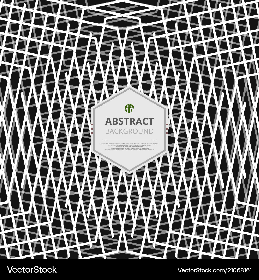 Abstract of white stripe lines pattern on black Vector Image