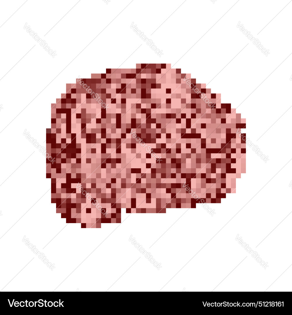 Brain pixel art 8 bit brains pixelated Brain pixel art 8 bit brains pixelated vector image