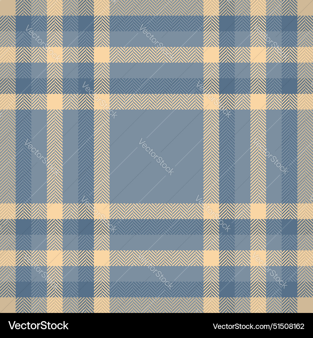 Fabric pattern of seamless texture check vector image