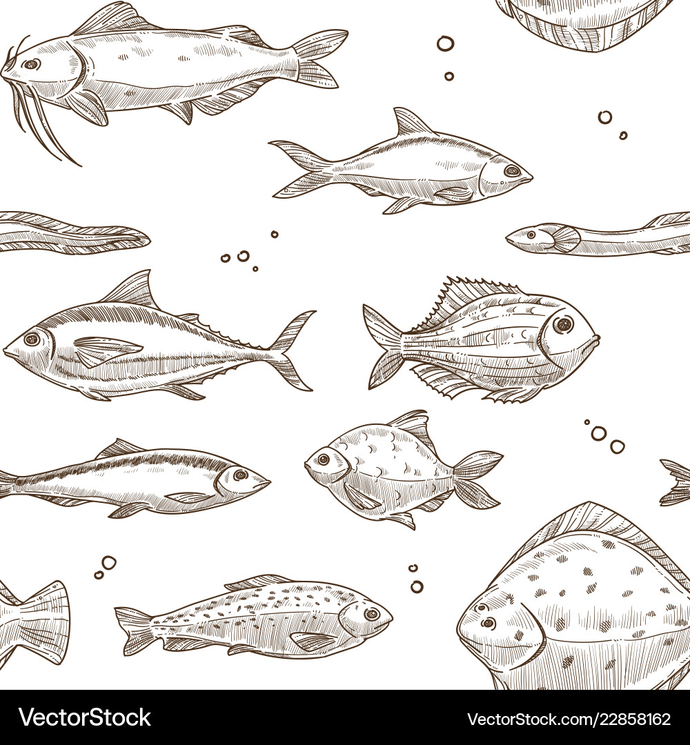 Fish sketch pattern background seamless Vector Image