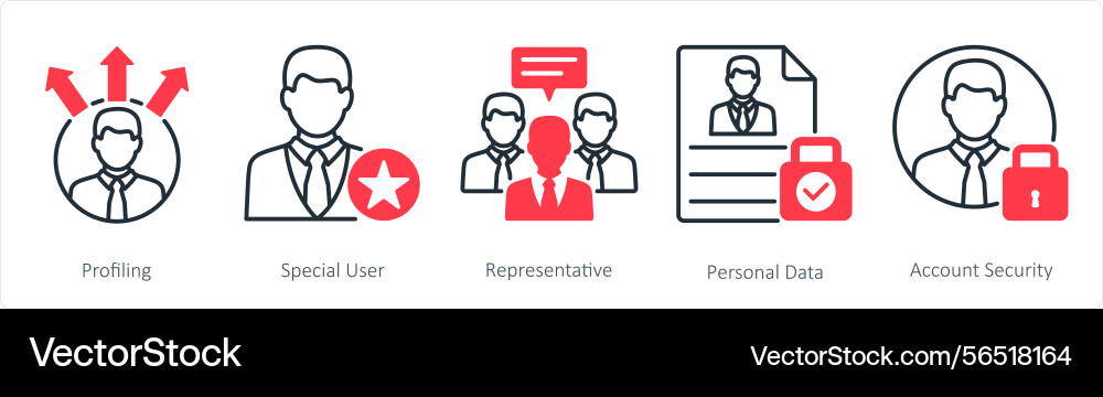 A set of 5 gdpr icons as profiling special user Vector Image