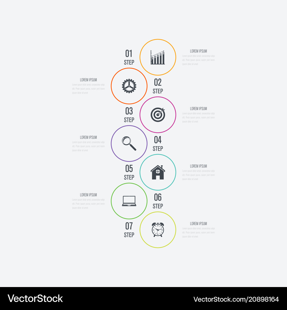 Infographics 7 options vector image