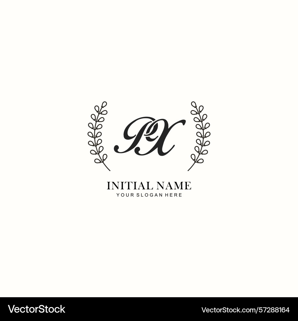 Px initial logo templates with botanical elements Vector Image