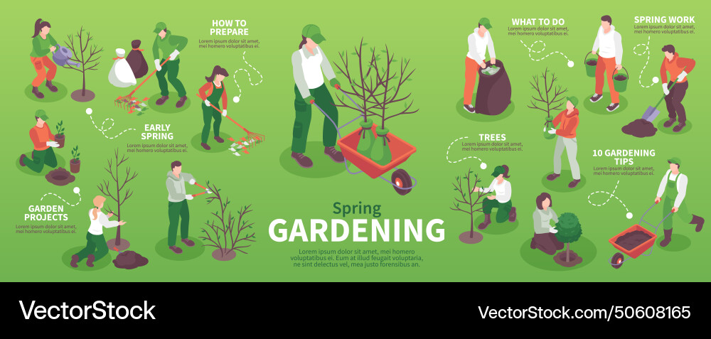 Spring gardening infographics Royalty Free Vector Image