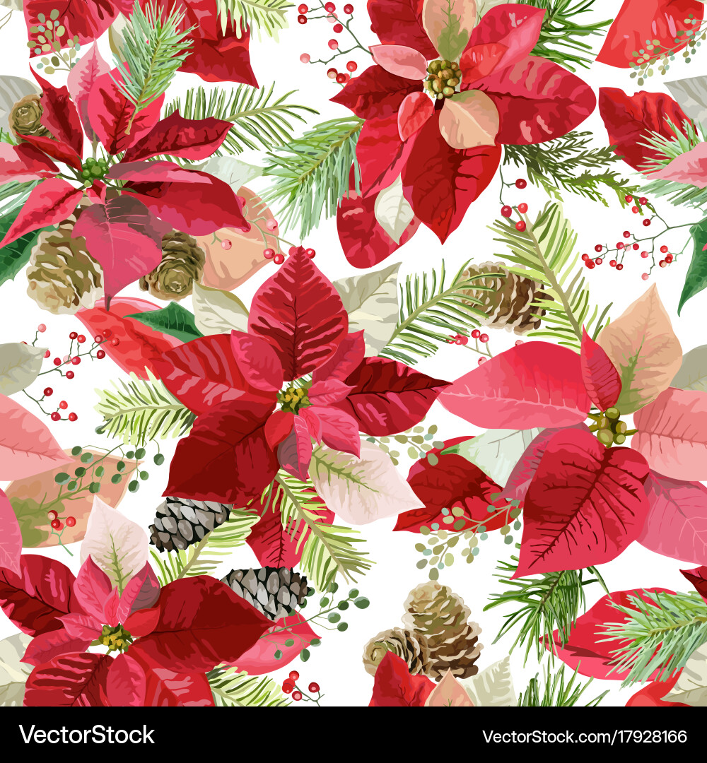 Christmas Poinsettia Seamless Floral Background vector image