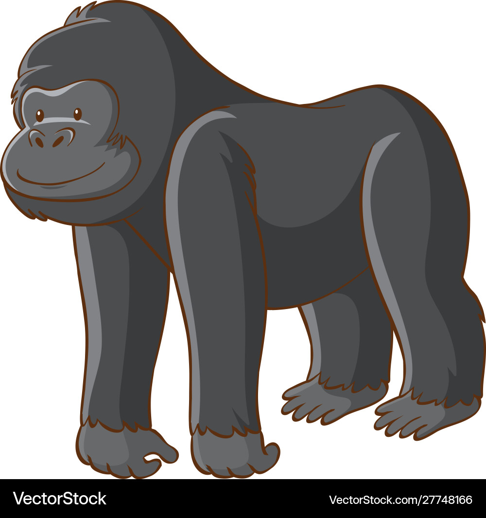 Cute gorilla on white background Cute gorilla on white background vector image