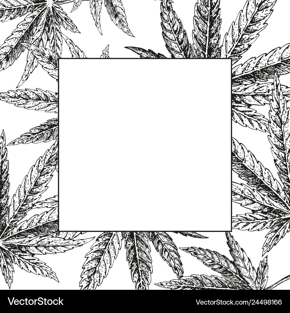 Hand drawn hemp background cannabis leaf Hand drawn hemp background cannabis leaf vector image
