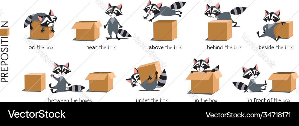Ortssatz Waschbär und Box Ortssatz Waschbär und Box vektorbild