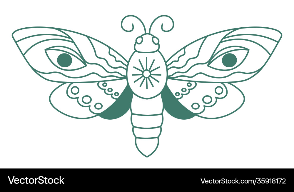 Death moth magical symbol lepidoptera sketch vector image