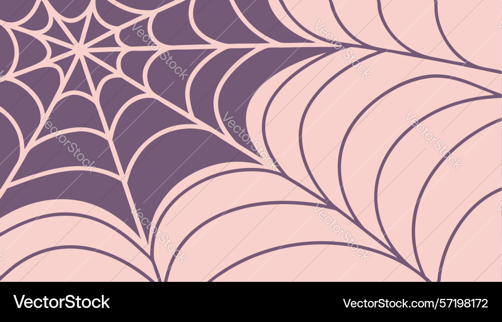 Intricate spider web pattern art design vector image