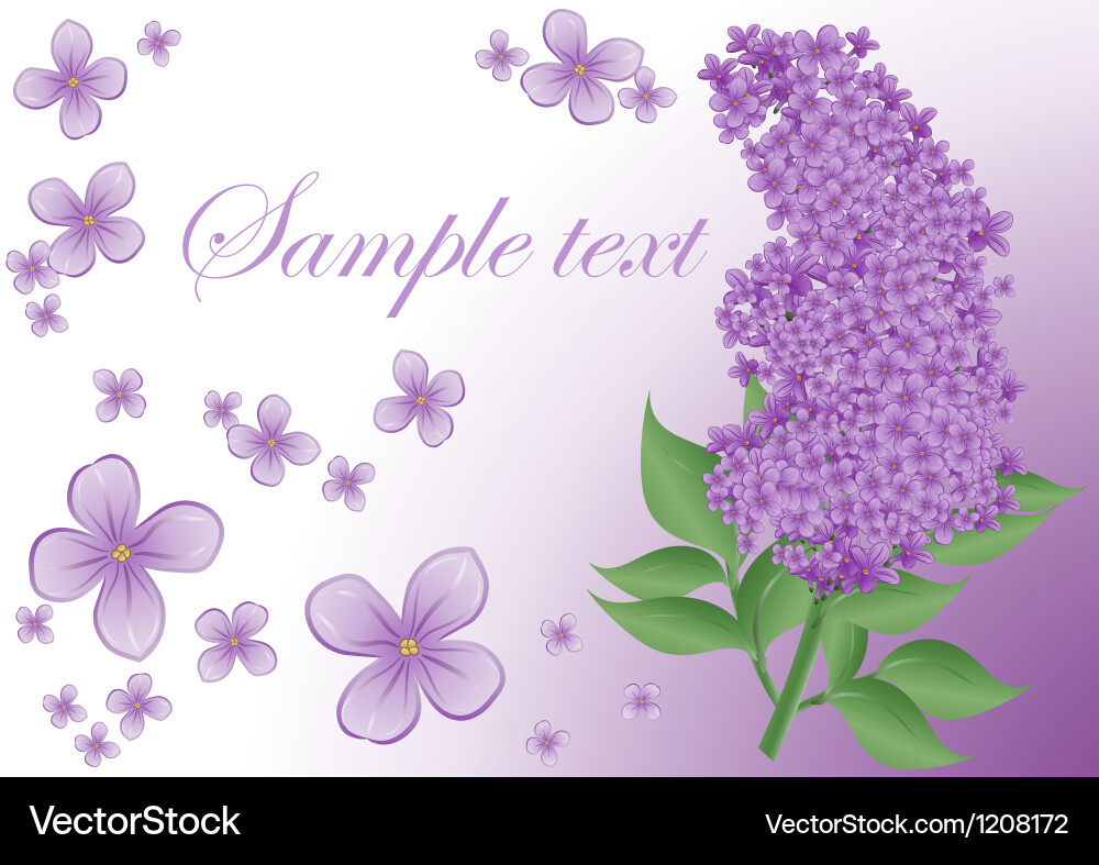 Lilac Floral Background Vector Image