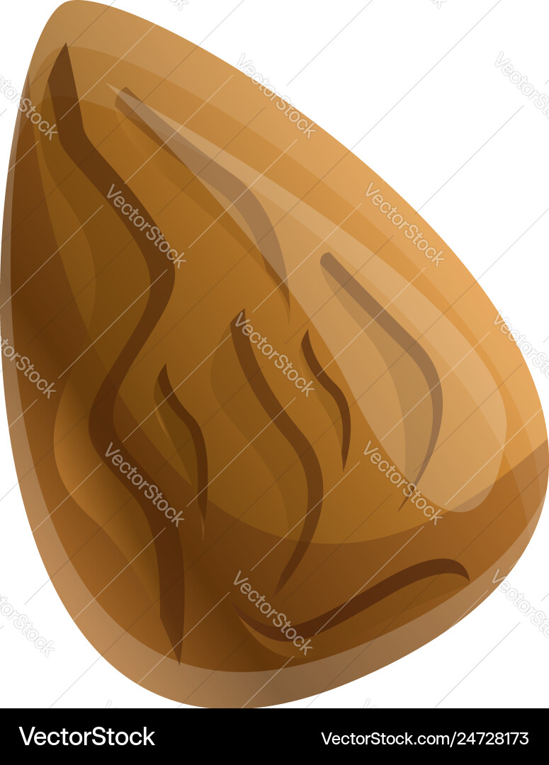 Apricot seed icon cartoon style Apricot seed icon cartoon style vector image