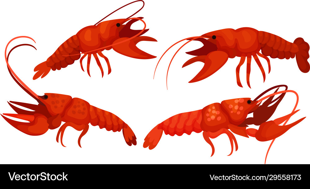 Robust Lobsters - Seafood Art Royalty Free Vector Image