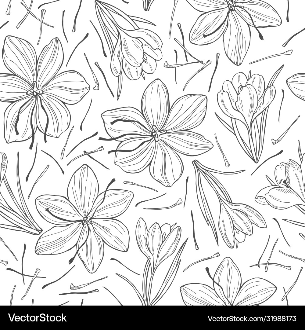 Safran Vector Images (over 110)