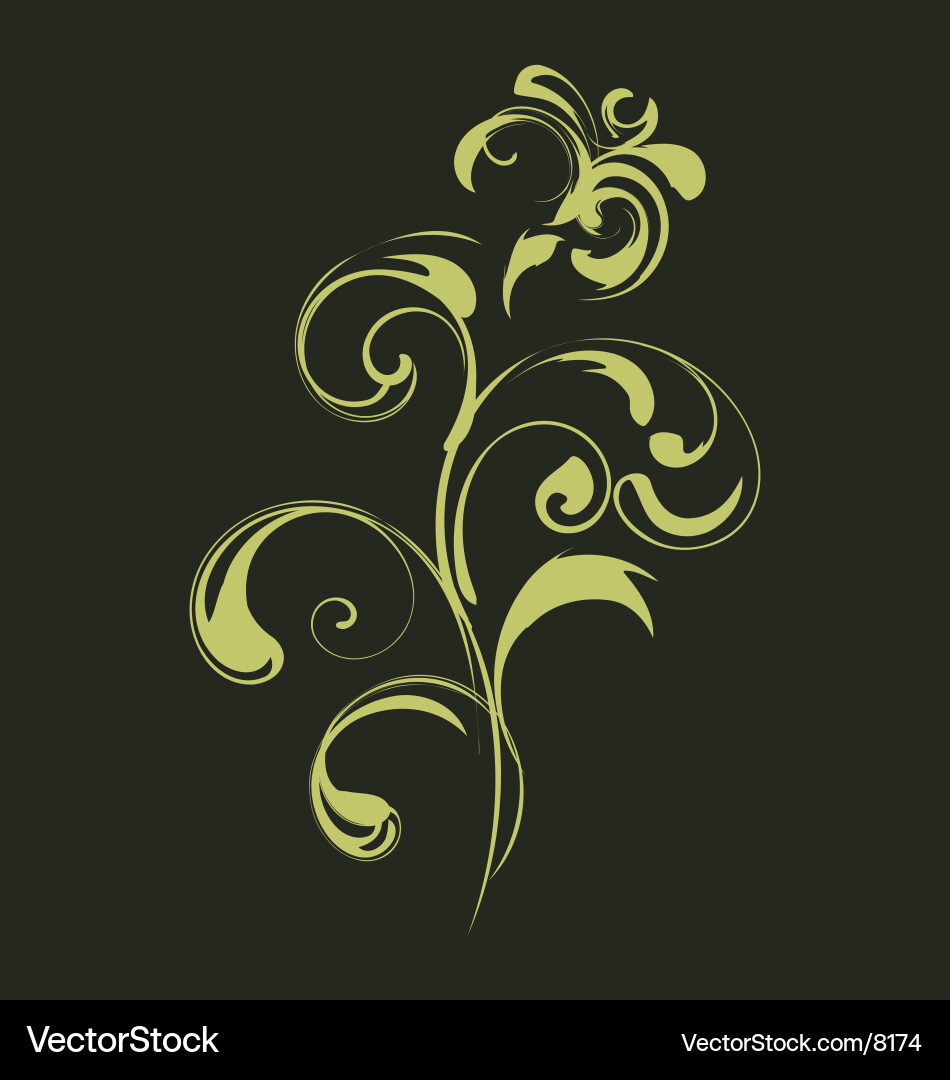 Floral Scroll Pattern Vector Image