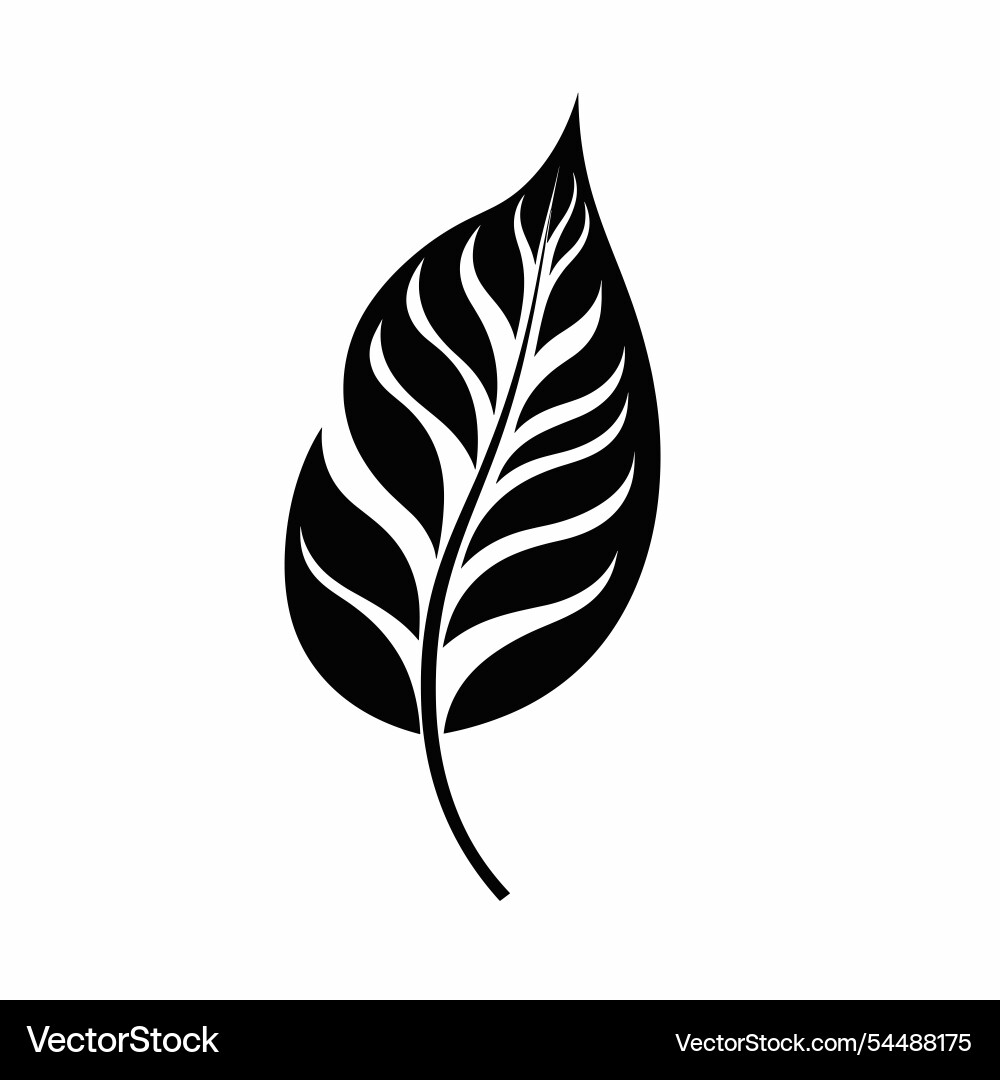 Silhouette of a leaf with intricate patterns Vector Image