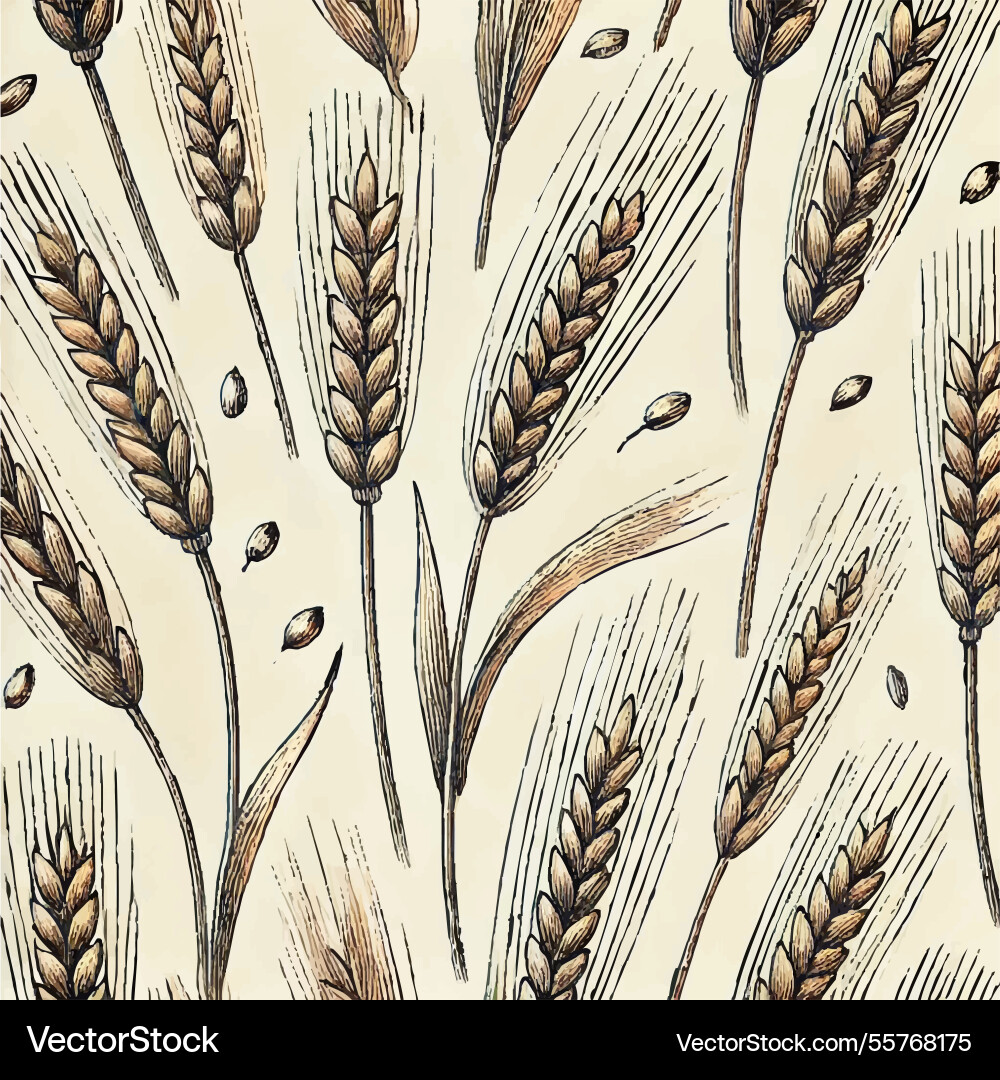 Wheat fields print design Vector Image