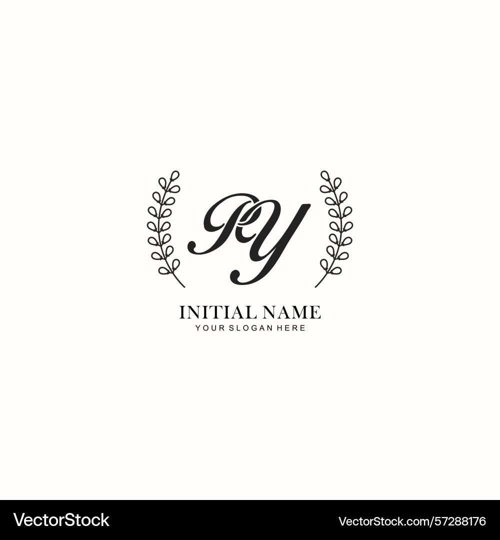 Py initial logo templates with botanical elements Py initial logo templates with botanical elements vector image