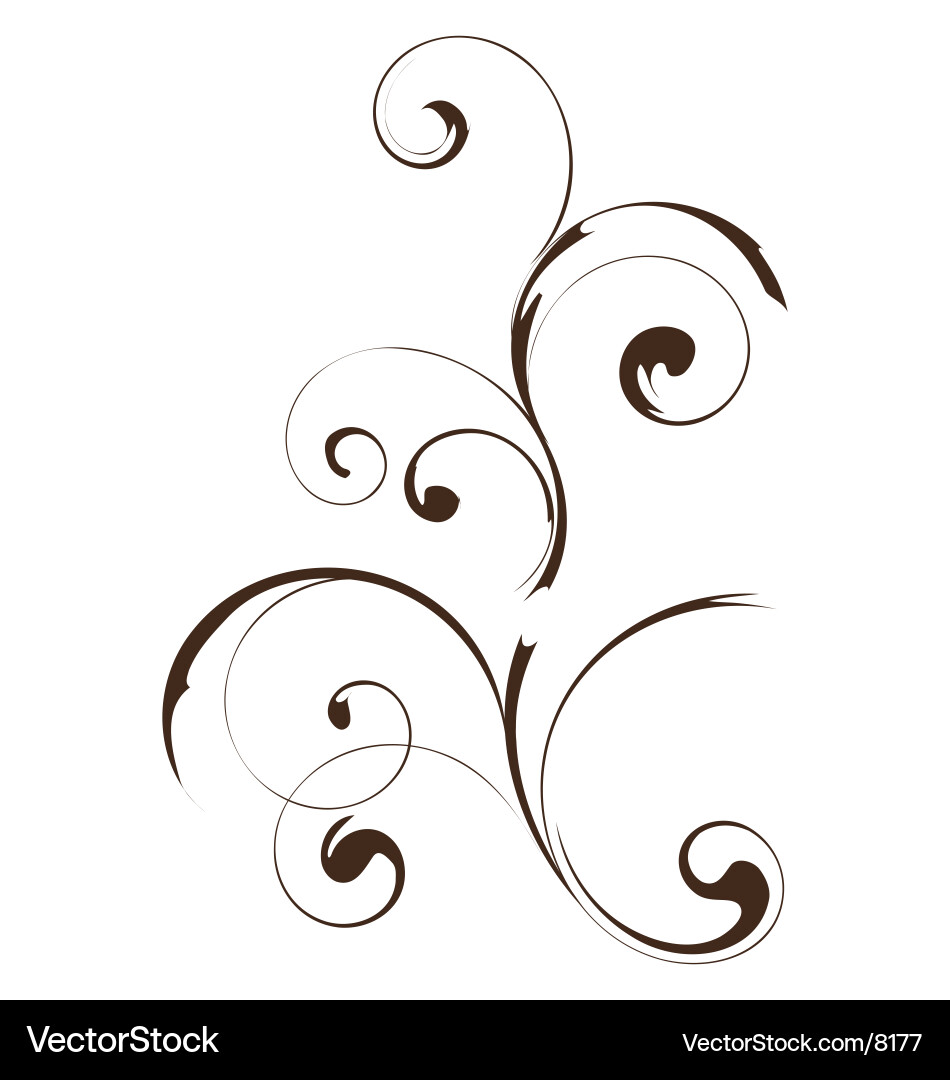Floral Scroll Pattern vector image