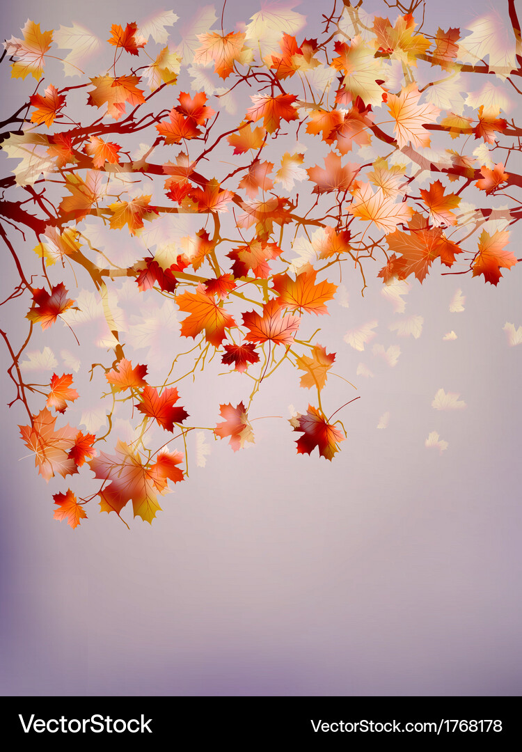 Abstract autumn tree background eps 10 Vector Image