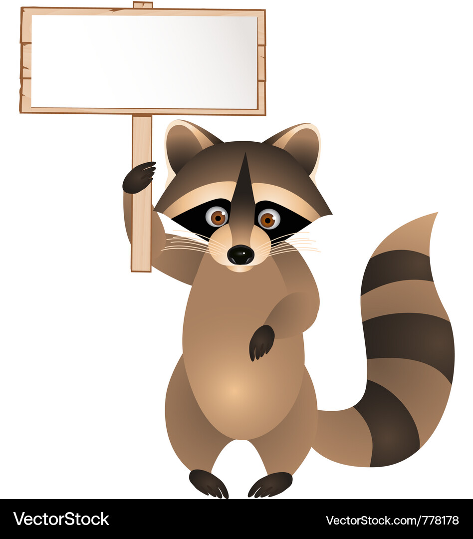 Cute Raccoon with Sign Vector Image