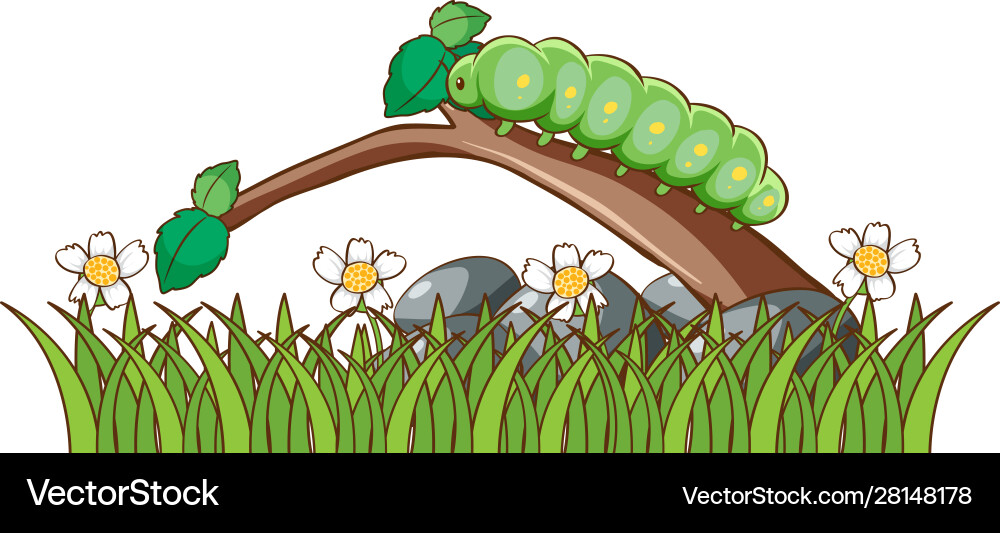 Isolated picture caterpillar in garden vector image