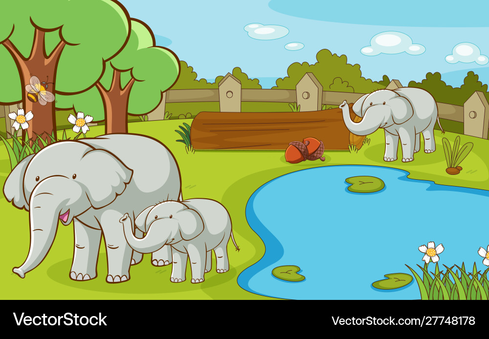 Scene with elephants at zoo Scene with elephants at zoo vector image