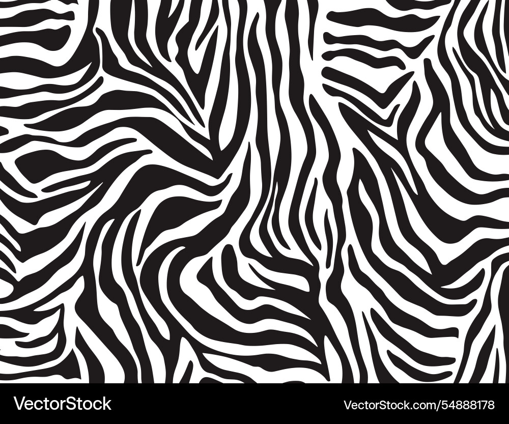 Zebra print pattern texture jungle Zebra print pattern texture jungle vector image