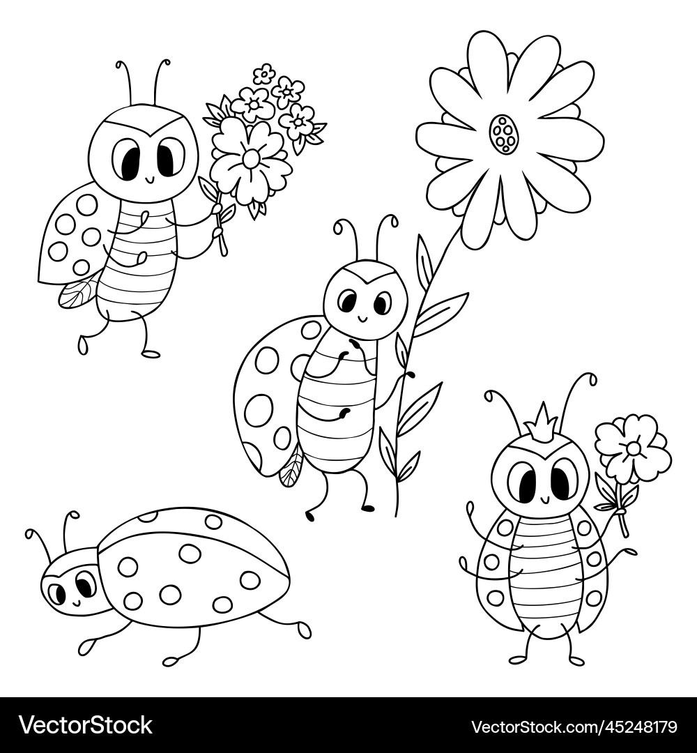 Collection cute ladybug small insect with flower vector image