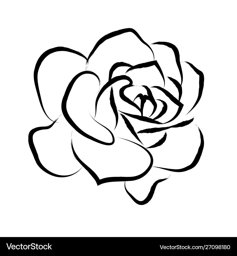 Elegante schwarze Rose Linienzeichnung Vektorbild