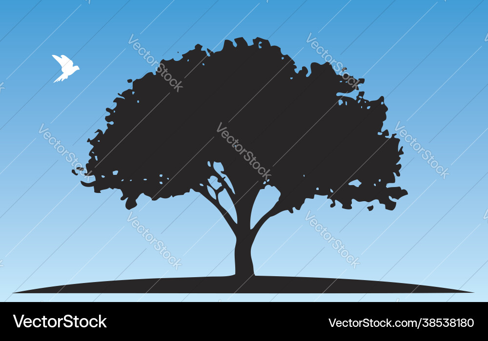 Tree silhouette and a white pigeon Tree silhouette and a white pigeon vector image