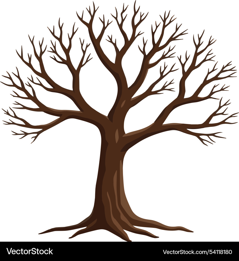 Tree without leaf design Vector Image