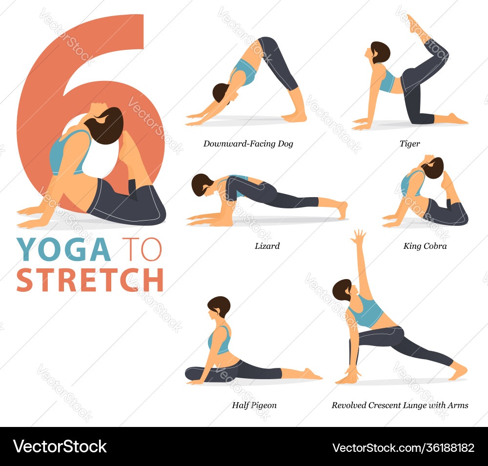 6 Yoga Poses for Stretching Vector Image