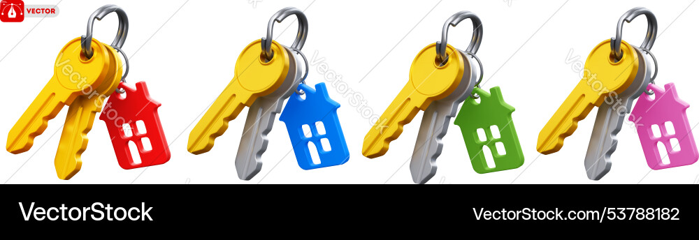 Two keys with keychain house set vector image