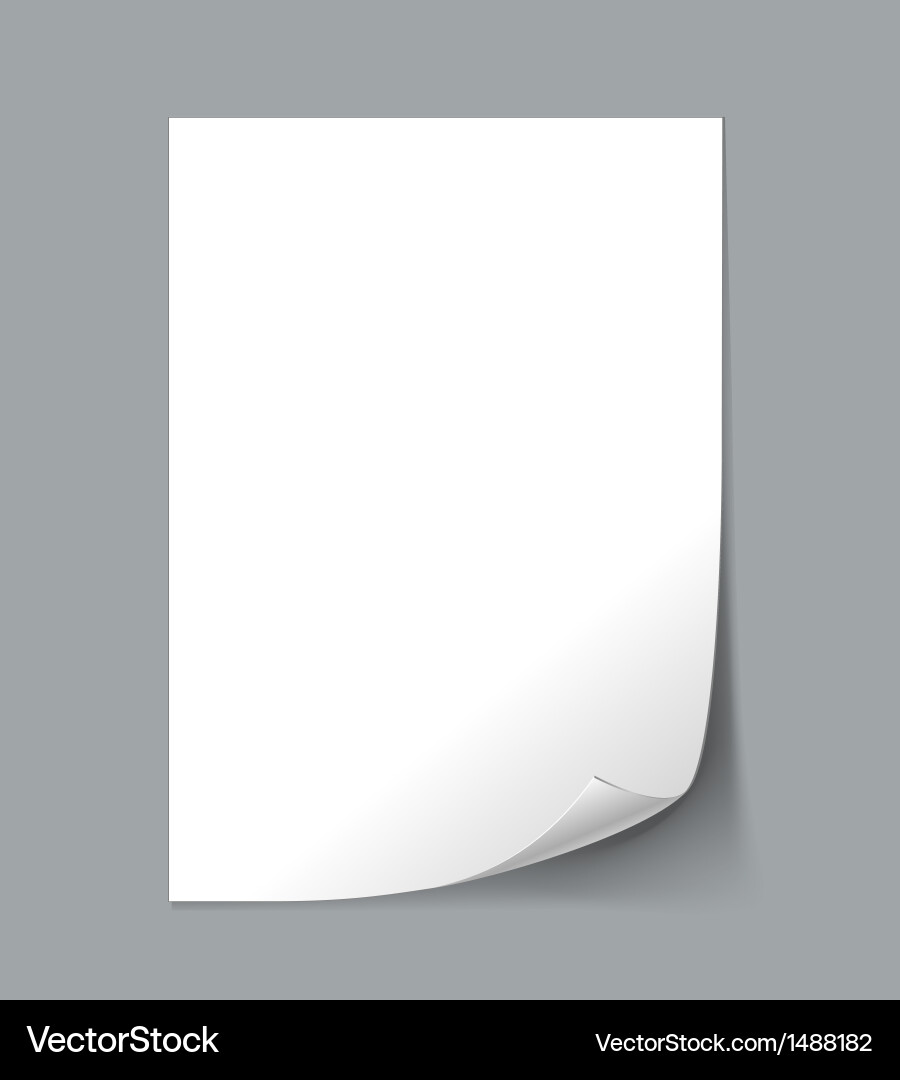 White Paper Sheet with Curl vector image