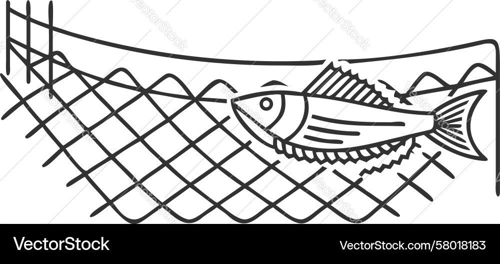 Fish in Net - Capture Icon Vector Image