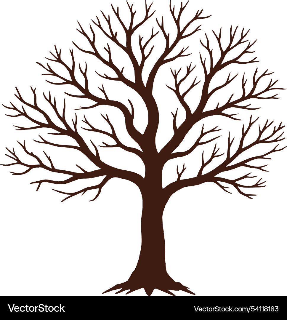 Tree without leaf design Tree without leaf design Vector Image